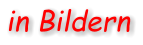 in Bildern